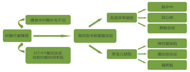 中国·8463永利皇宫(集团)有限公司-官方网站