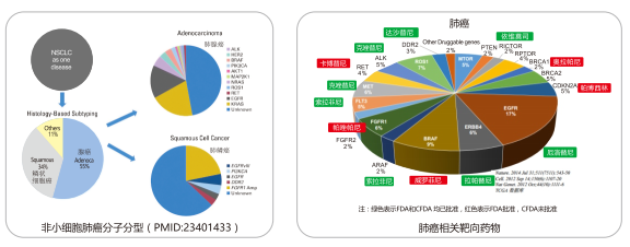 中国·8463永利皇宫(集团)有限公司-官方网站