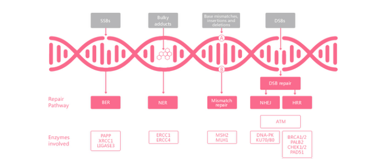中国·8463永利皇宫(集团)有限公司-官方网站