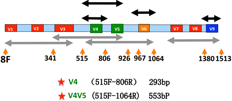 中国·8463永利皇宫(集团)有限公司-官方网站