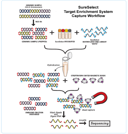 中国·8463永利皇宫(集团)有限公司-官方网站