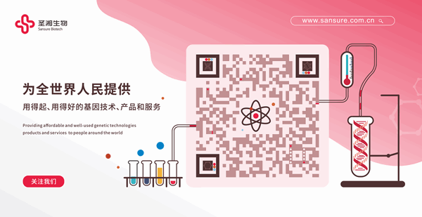 中国·8463永利皇宫(集团)有限公司-官方网站